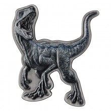 Niue 2021 5 dollars silver coloured coin Velociraptor in box